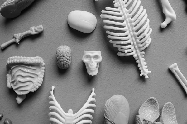 Les applications de méditation les plus efficaces pour améliorer sa santé