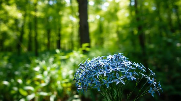 Nigelle : le trésor caché pour renforcer vos défenses naturelles